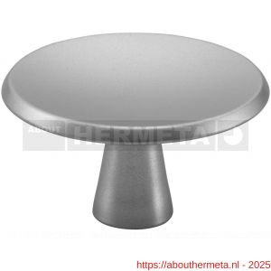 Hermeta 3753 meubelknop rond 40 mm met bout M4 naturel - R20101905 - afbeelding 1