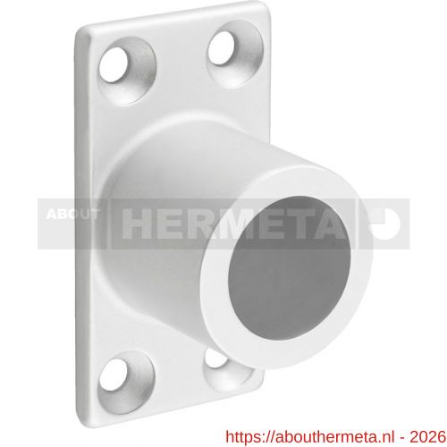 Hermeta 3875 doorvalbeveiliging steun in de dag rond-ovaal links en rechts mat naturel - R20100085 - afbeelding 1