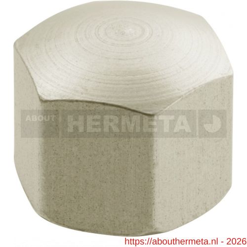 Hermeta 5855 dopmoer M6 nieuw zilver - R20100007 - afbeelding 1
